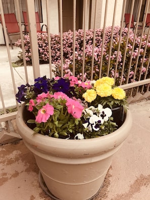 Un grand pot de fleurs contenant une variété de fleurs aux couleurs vives.