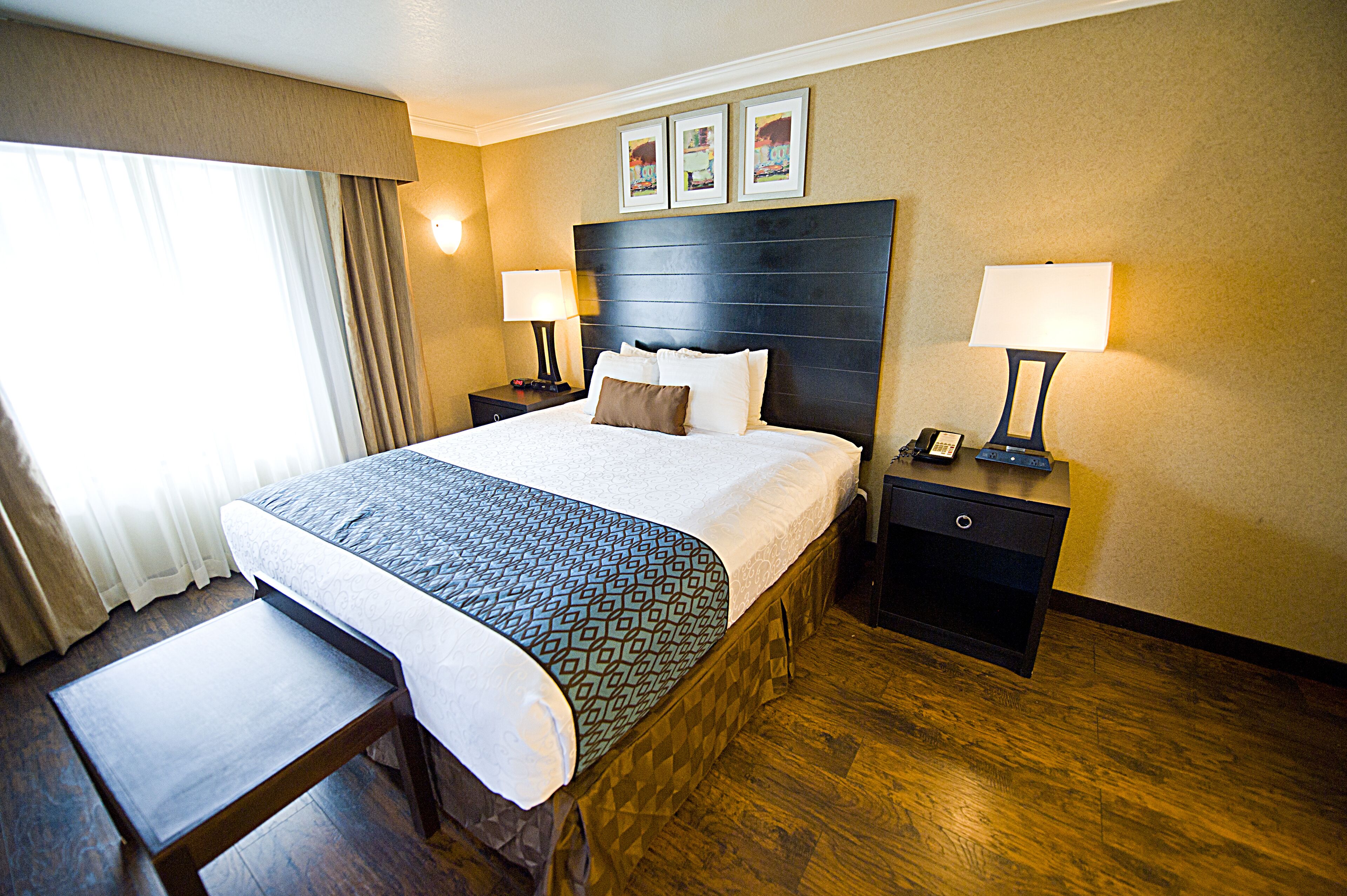 standard room, 1 king bed (wood floor) | desk, laptop workspace, blackout curtains, iron/ironing board