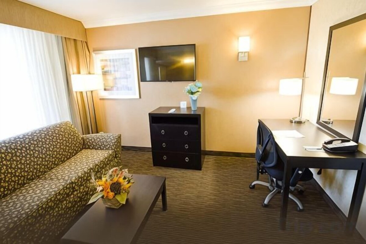 Executive King Suite