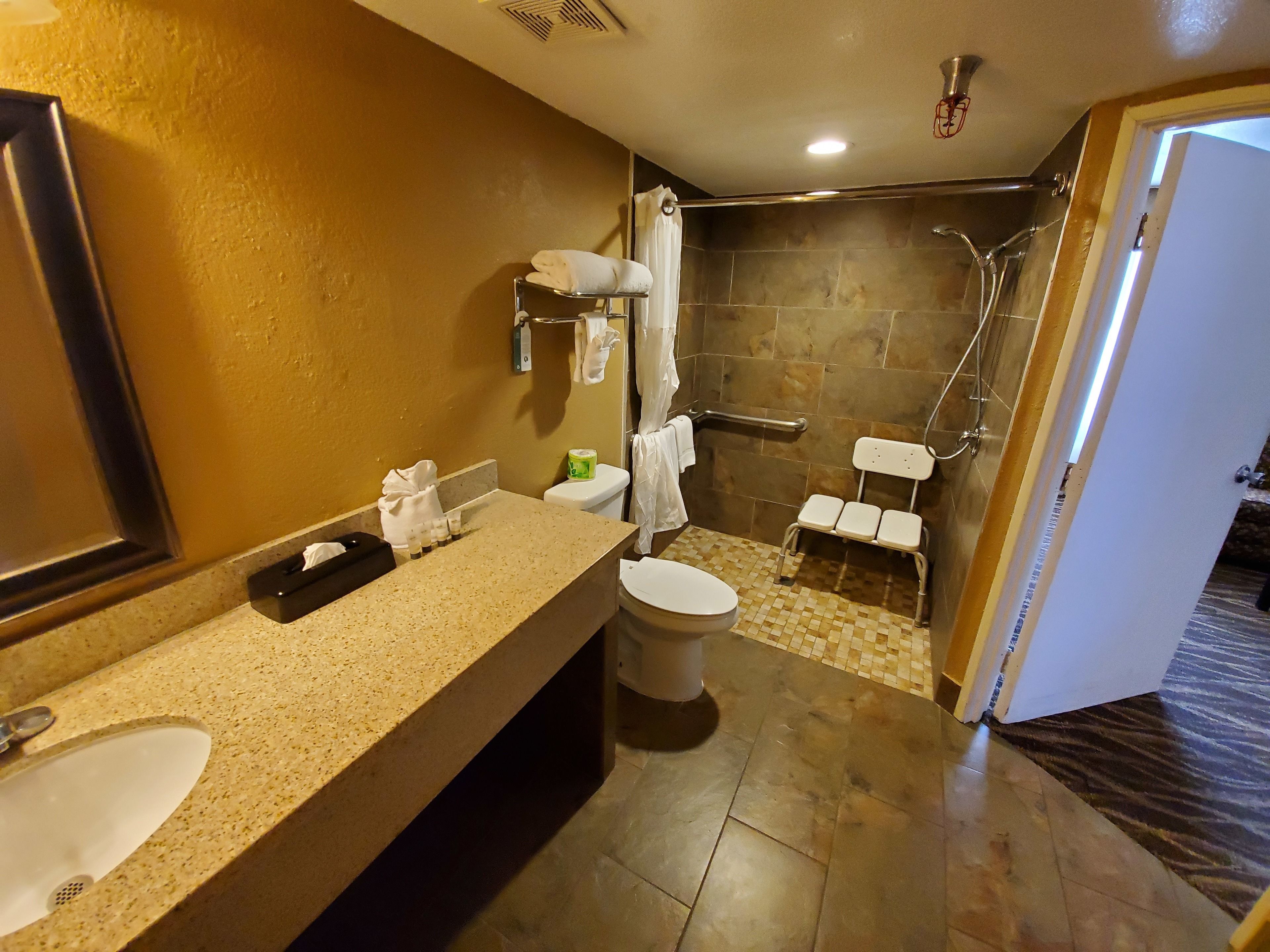executive suite, 1 king bed, accessible, non smoking | bathroom | hair dryer, towels, soap, shampoo