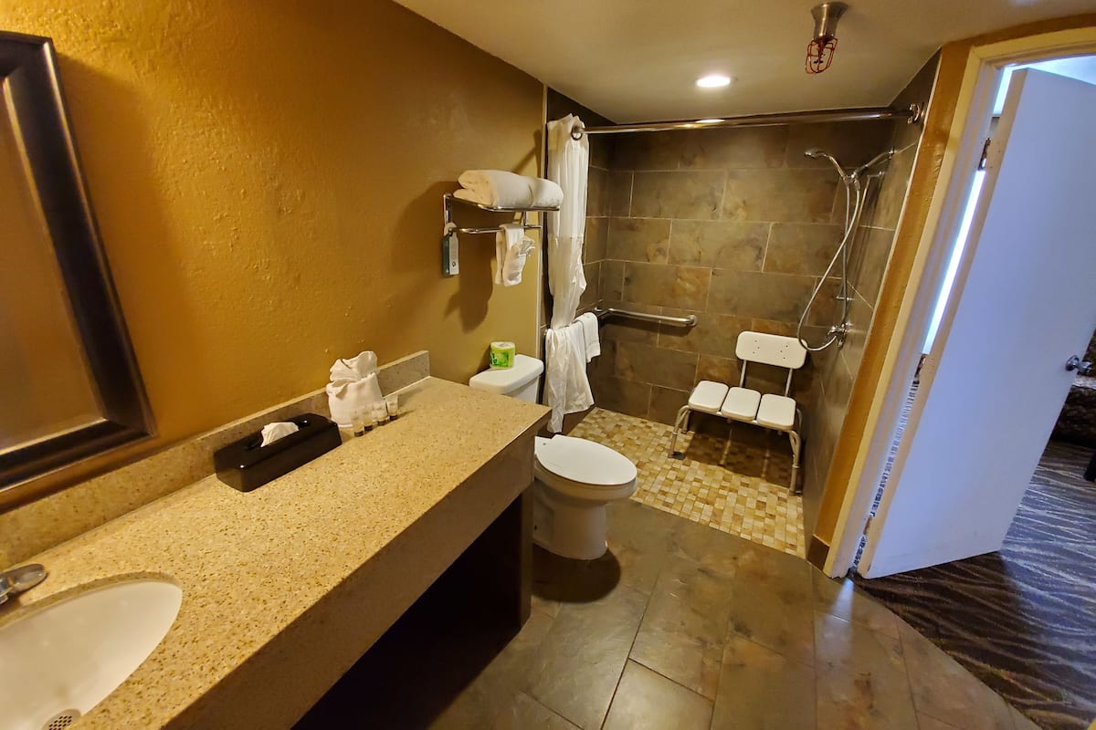 executive suite, 1 king bed, accessible, non smoking | bathroom | hair dryer, towels, soap, shampoo