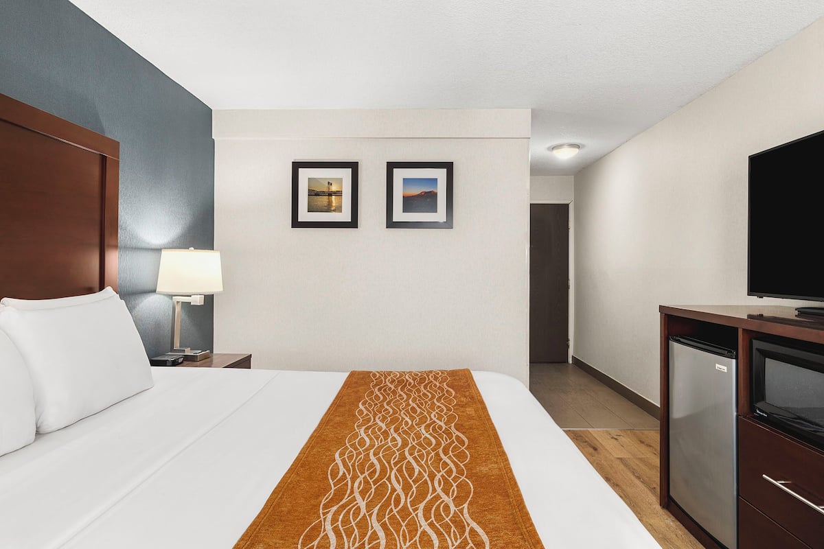A hotel room with a bed, a desk with a lamp, a television, and two framed pictures on the wall.