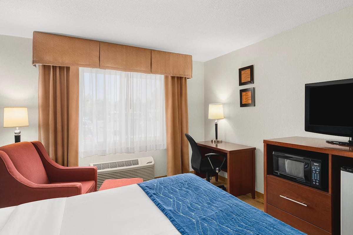 A hotel room with a bed, a desk with a chair, a television, a microwave, and a heater.