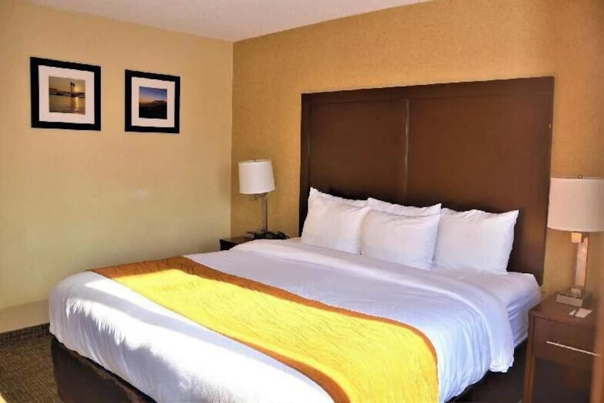 Premium bedding, desk, laptop workspace, blackout curtains