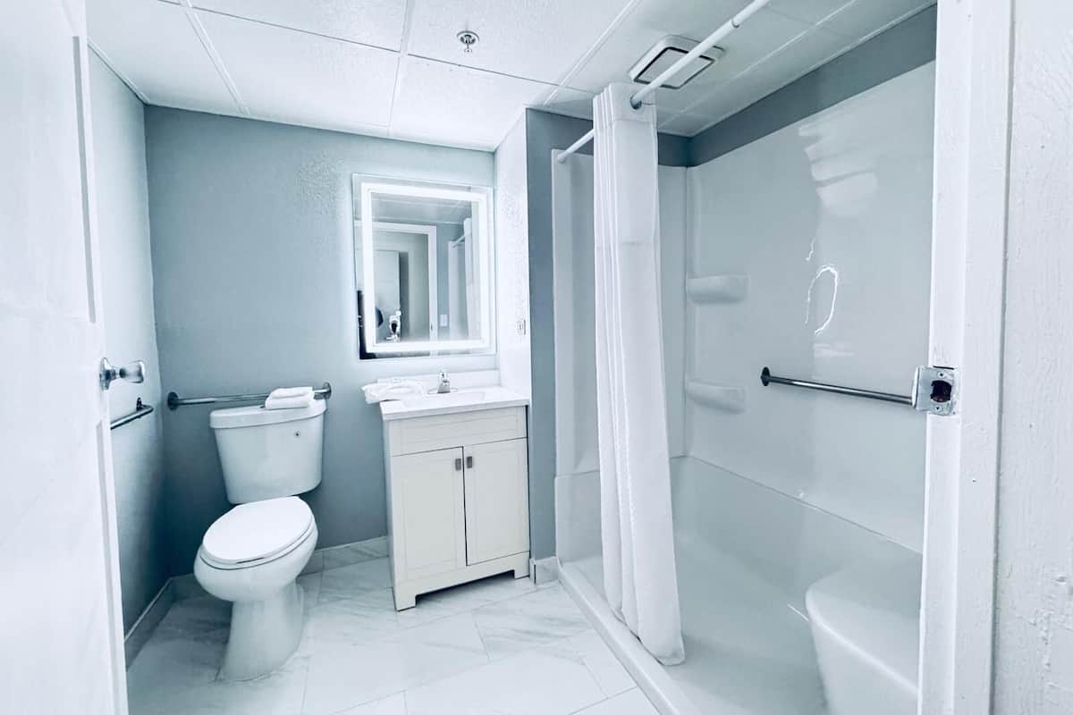 Room, 1 King Bed, Accessible, Non Smoking (Mobility) | Bathroom | Combined shower/tub, eco-friendly toiletries, hair dryer, bathrobes