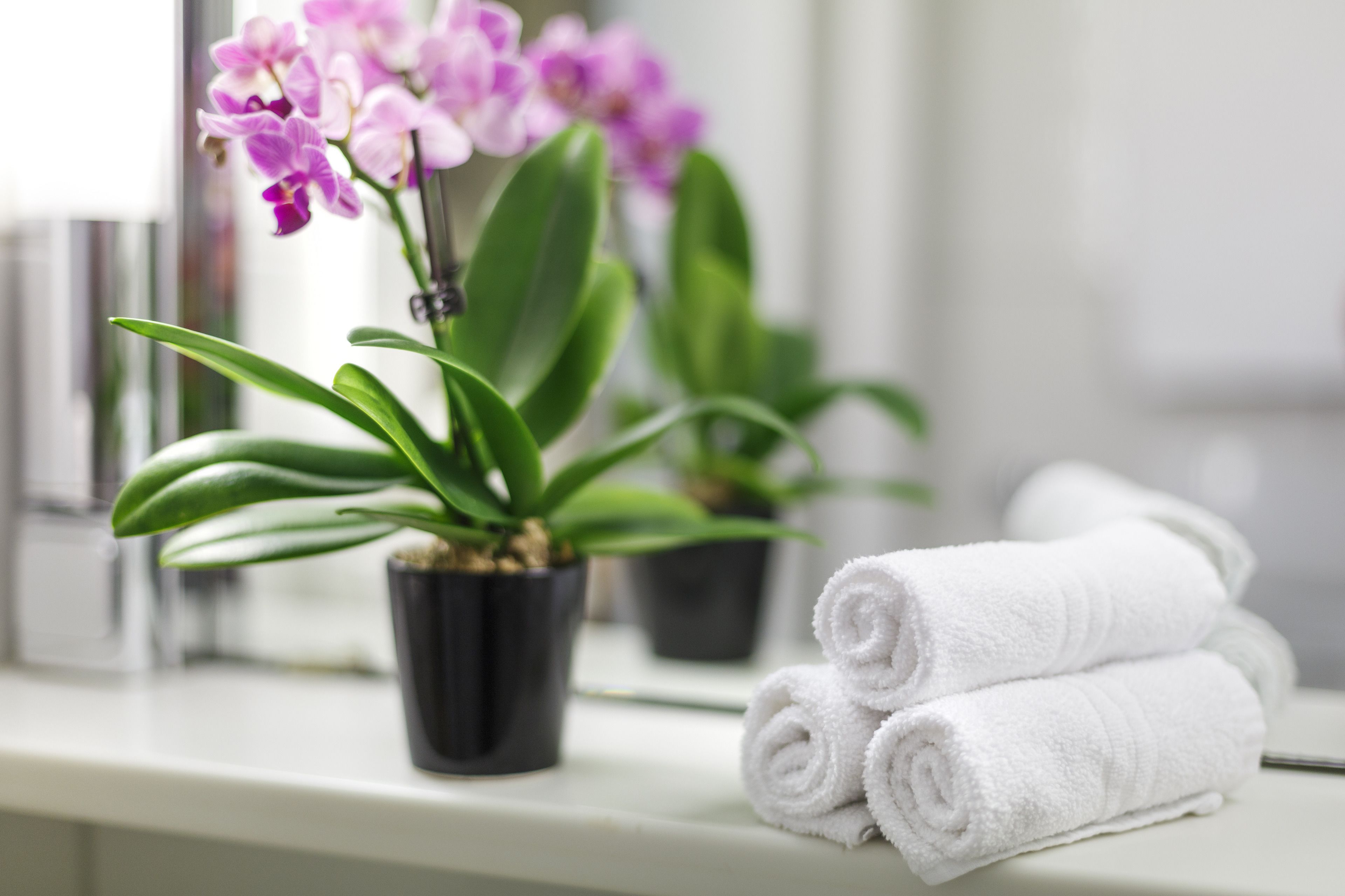 Håndvask på badeværelset