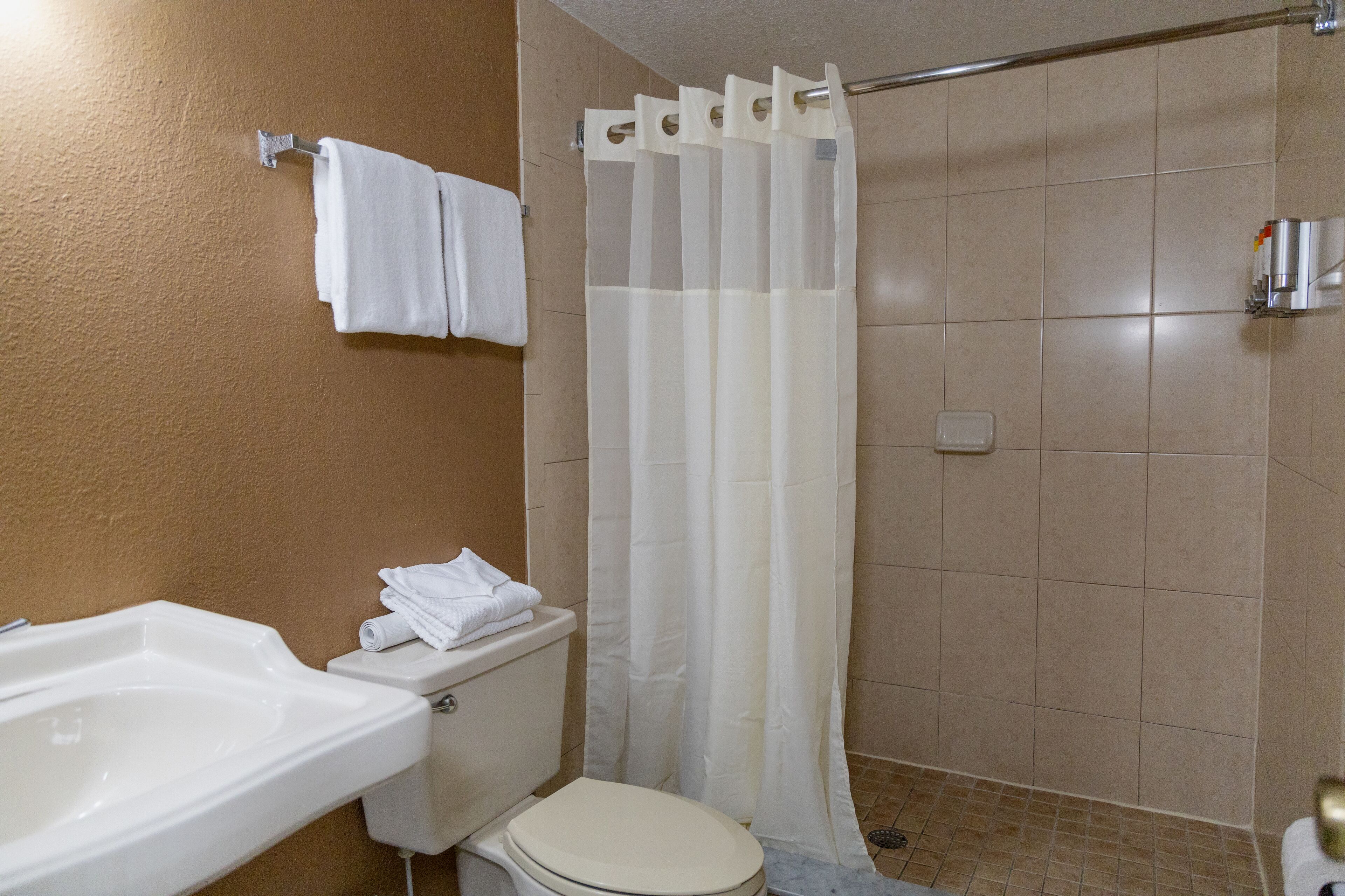 A bathroom with a toilet, a sink, and a shower curtain.