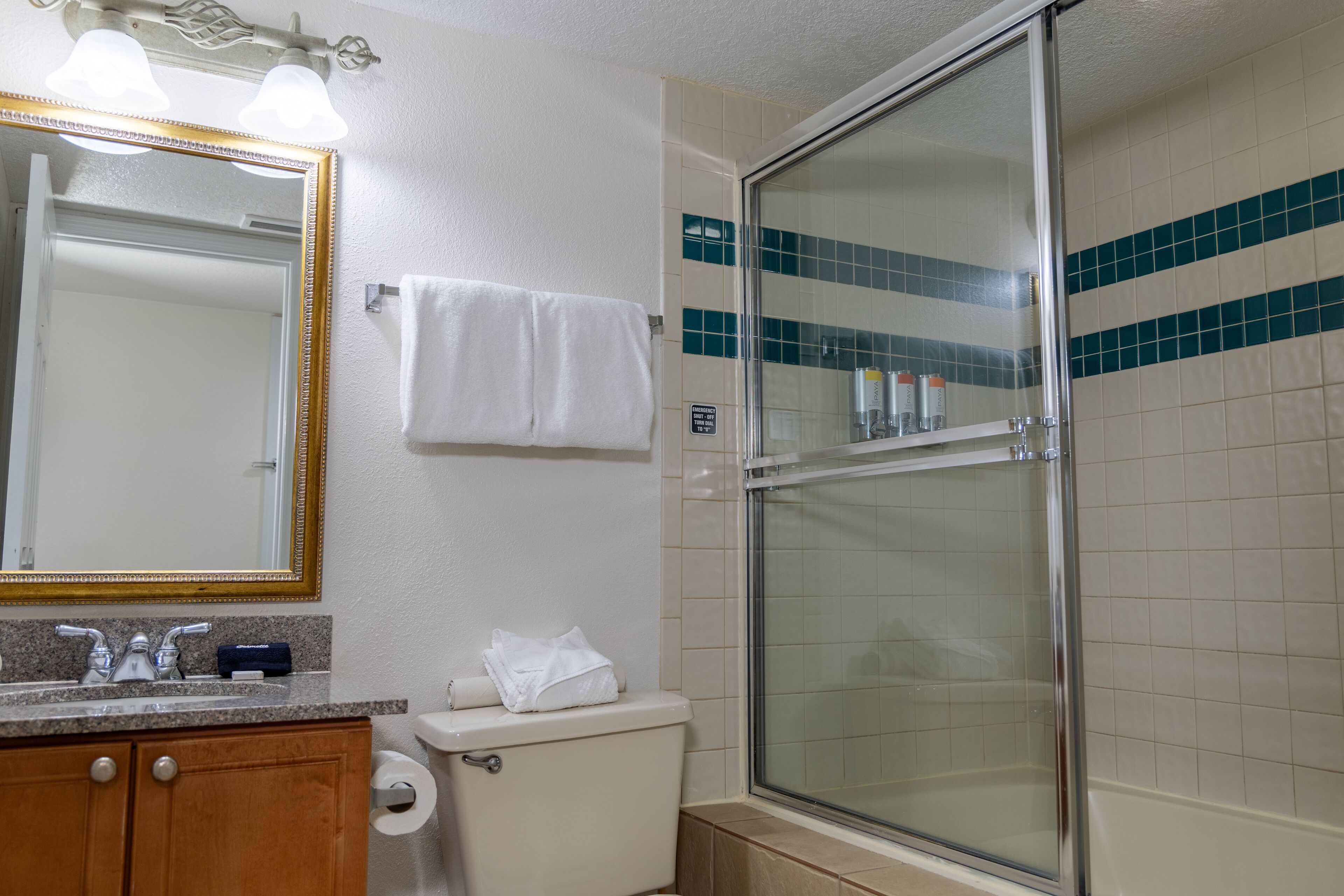 Un baño con inodoro, lavamanos, espejo y ducha.