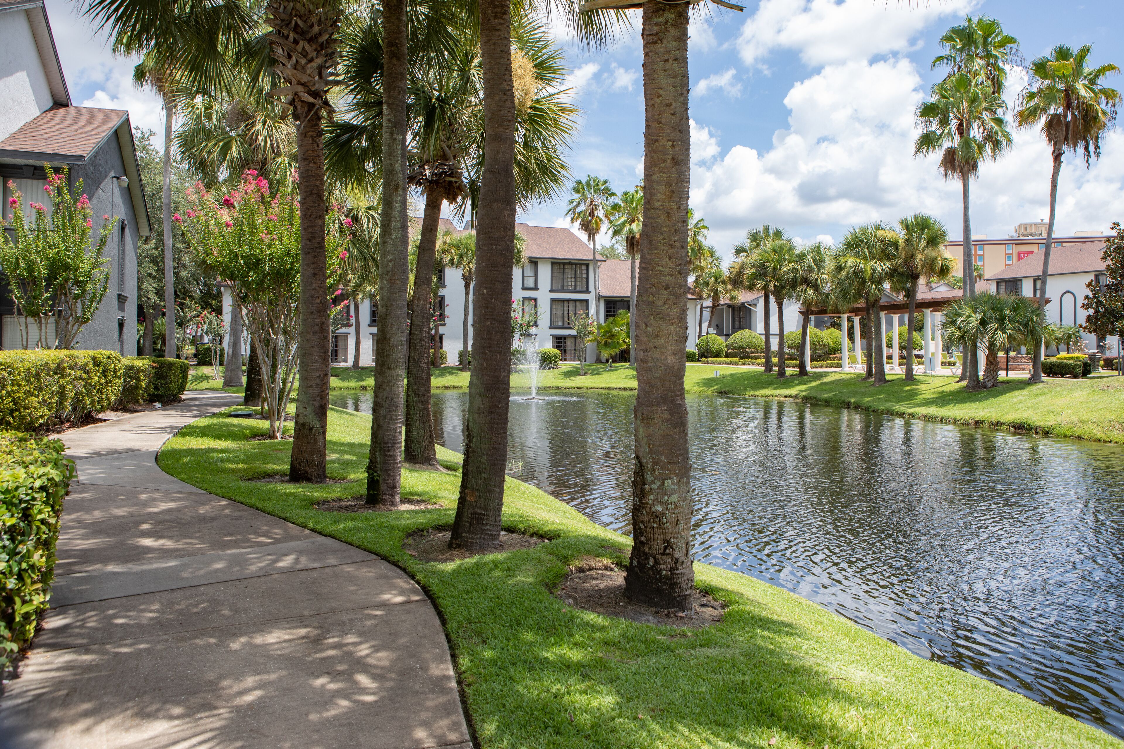 A pathway alongside a body of water with palm trees and a building in the background.