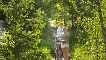 A narrow dirt path surrounded by lush greenery.