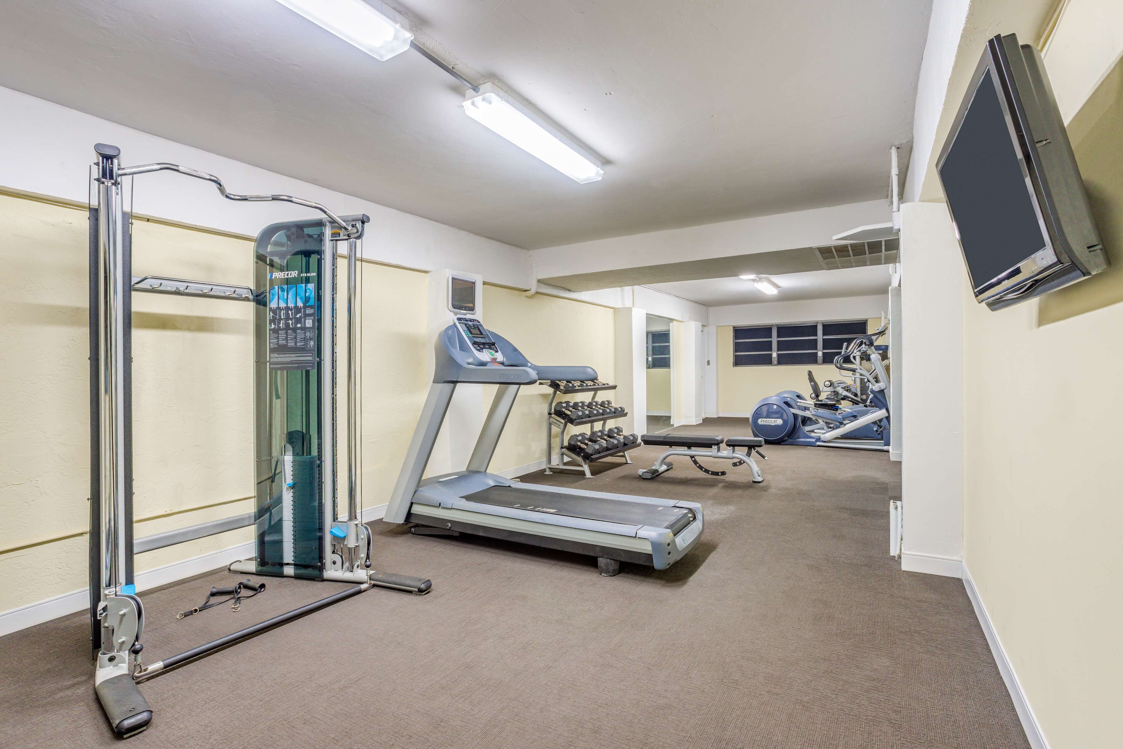 A gym with a treadmill, weight bench, and various exercise machines.