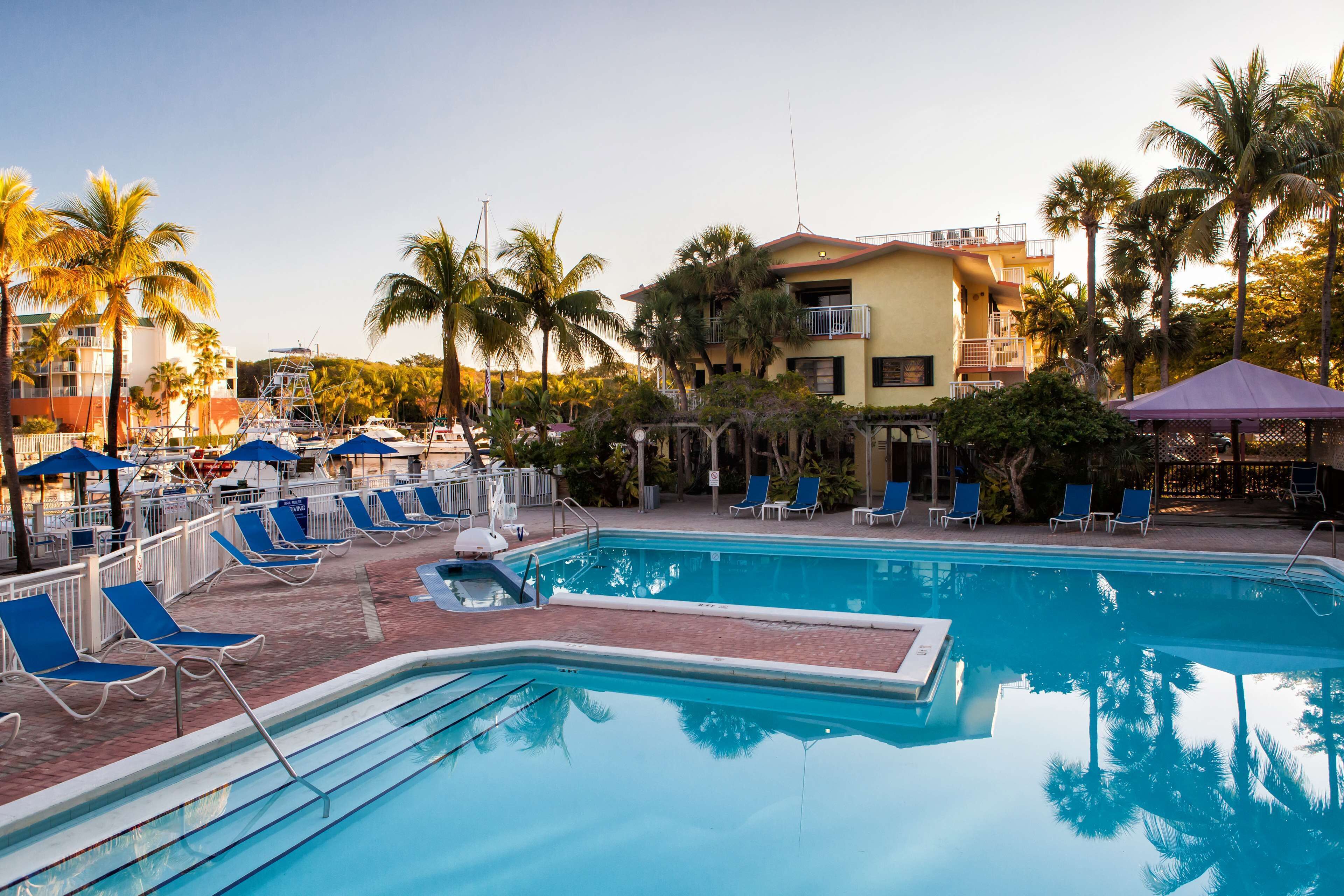 Una piscina con sillones de descanso y sombrillas, rodeada de palmeras y un edificio con balcones.