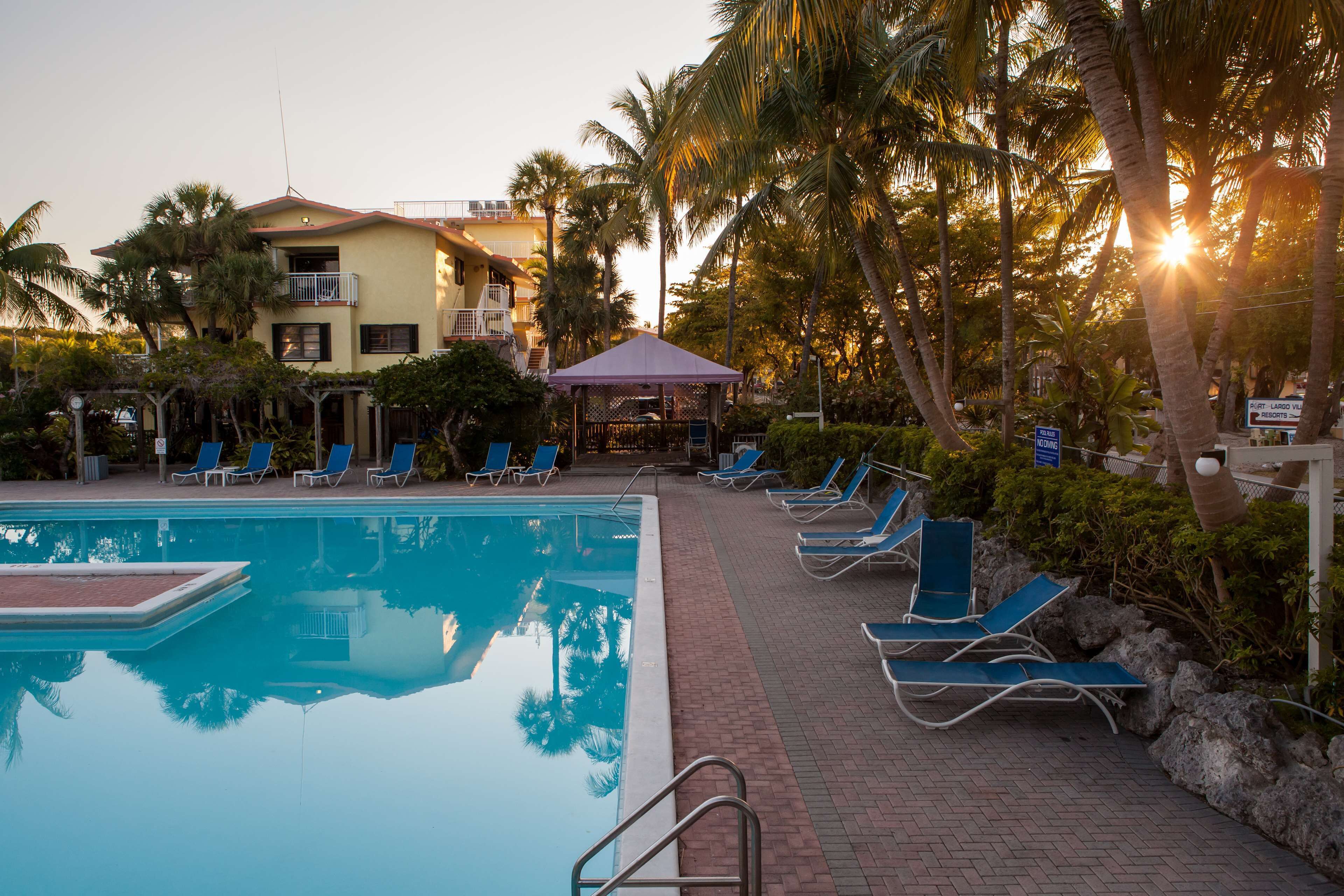 A pool area with lounge chairs and a gazebo, surrounded by palm trees and a building with a balcony.