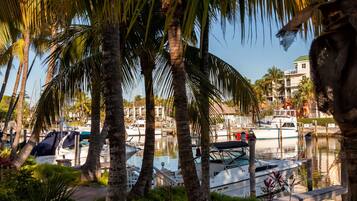 A marina with boats docked, surrounded by palm trees and a building with balconies in the background.