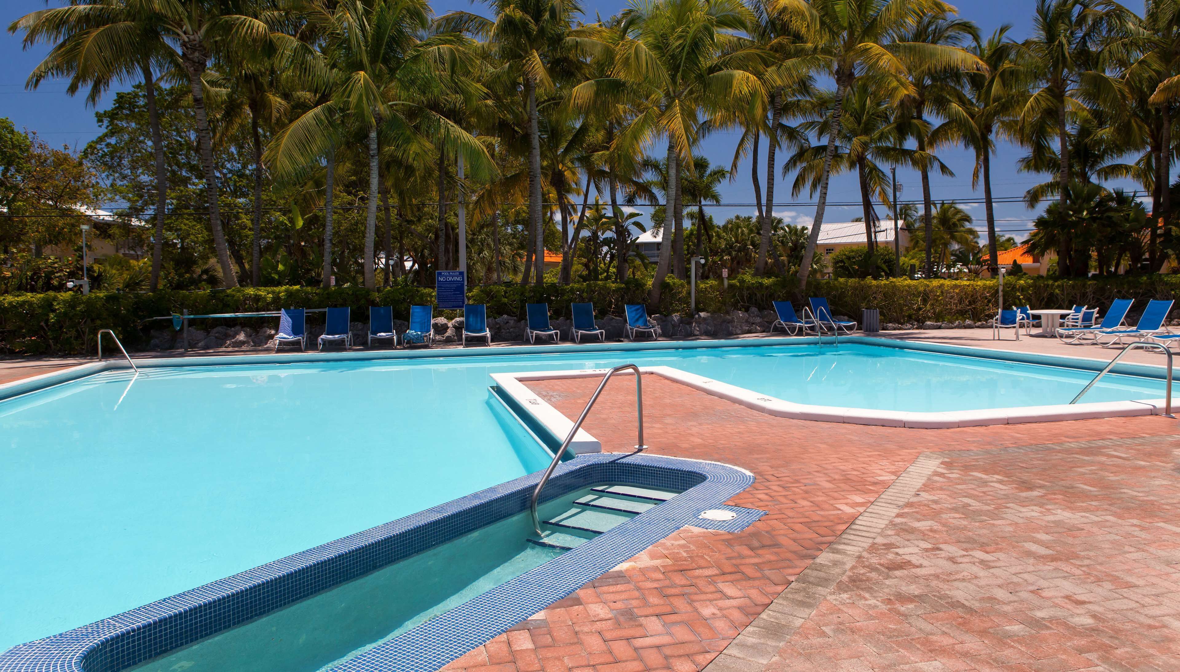 Une piscine aux carreaux bleus, entourée de palmiers et de chaises longues.