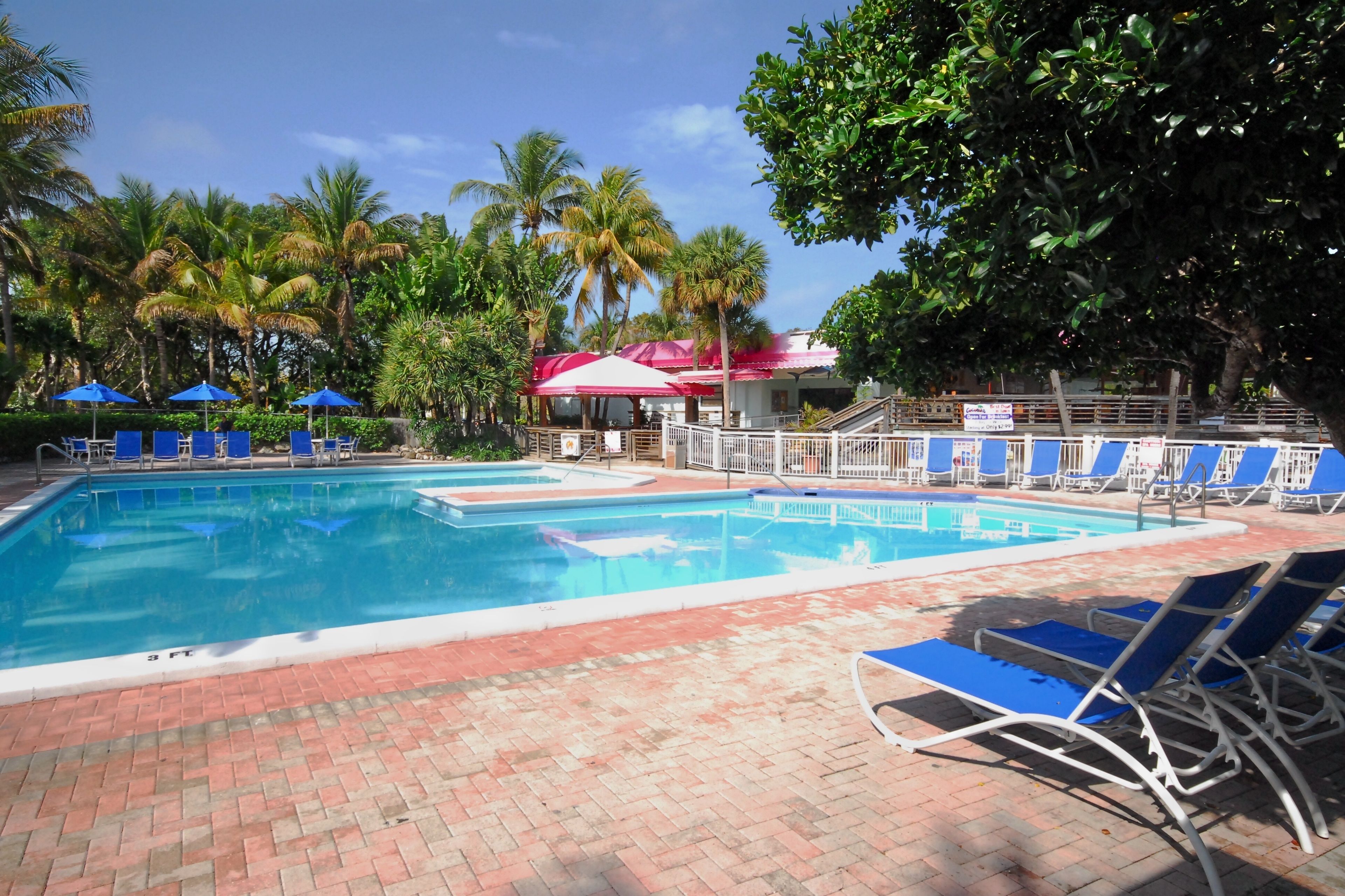 A swimming pool with blue lounge chairs and umbrellas, surrounded by palm trees and a brick walkway.