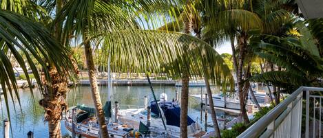 Un puerto deportivo con barcos amarrados, rodeado de palmeras.