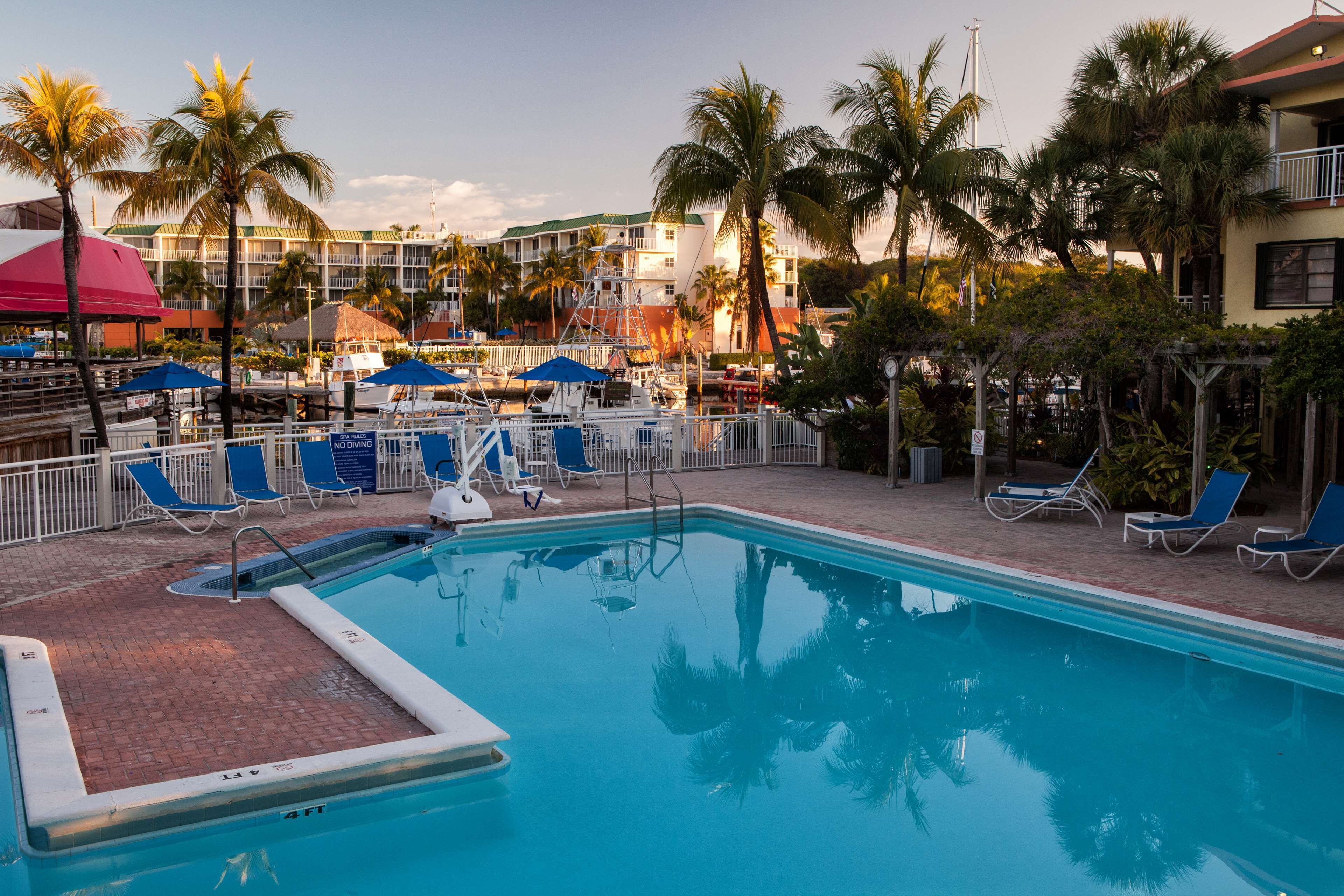 Una piscina con acqua blu, circondata da lettini e ombrelloni, palme e un albergo sullo sfondo.