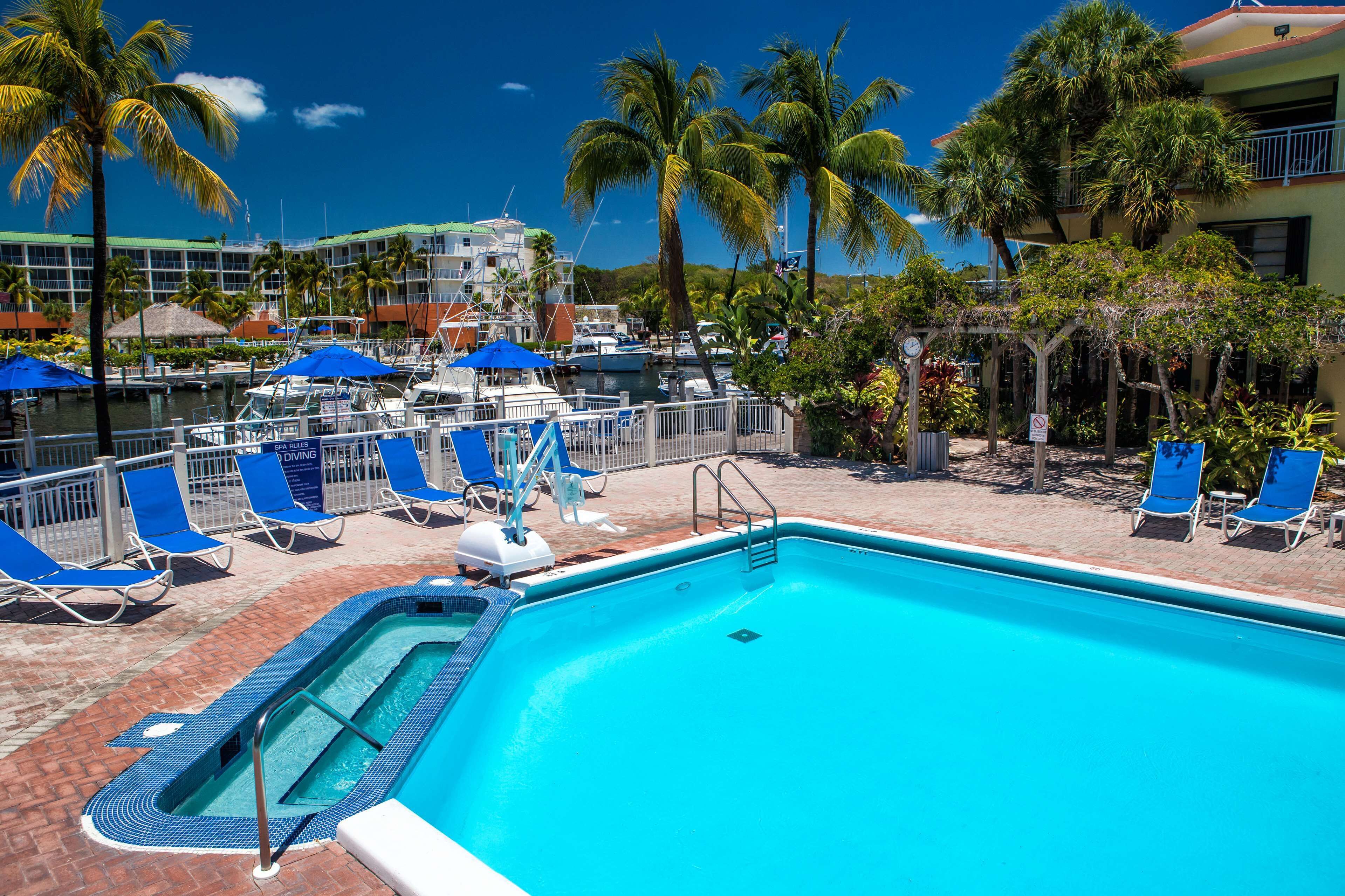 A swimming pool with blue chairs, a diving board, and palm trees.