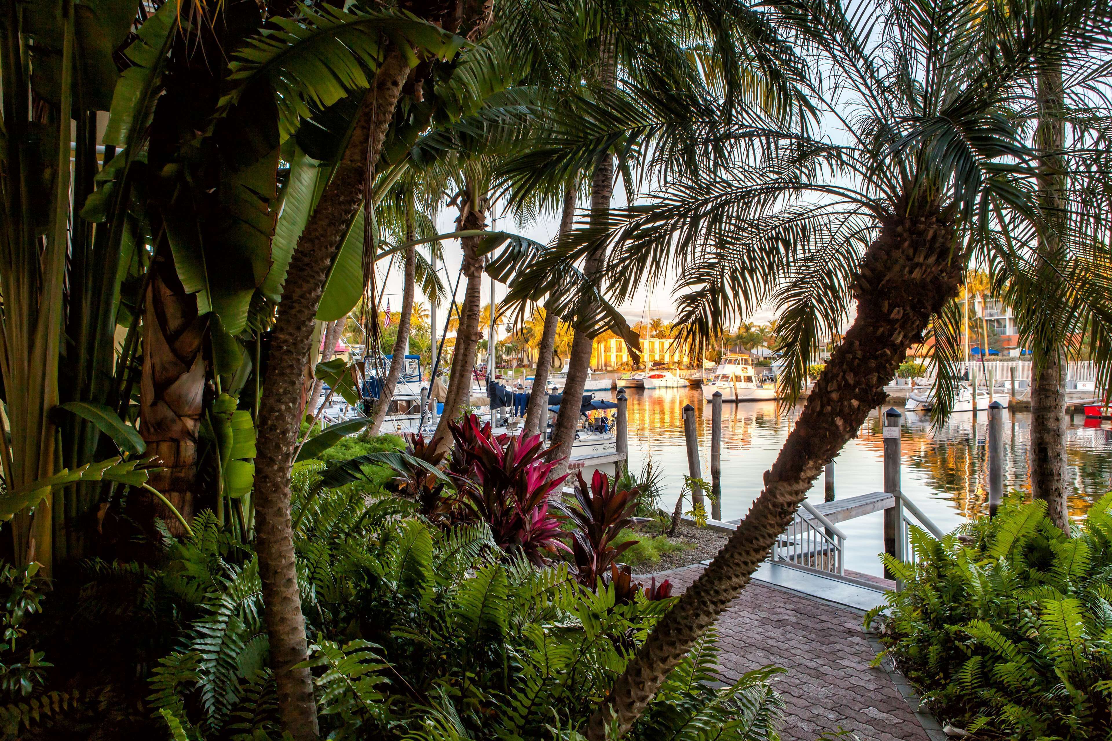 A marina with boats docked, surrounded by lush tropical vegetation.