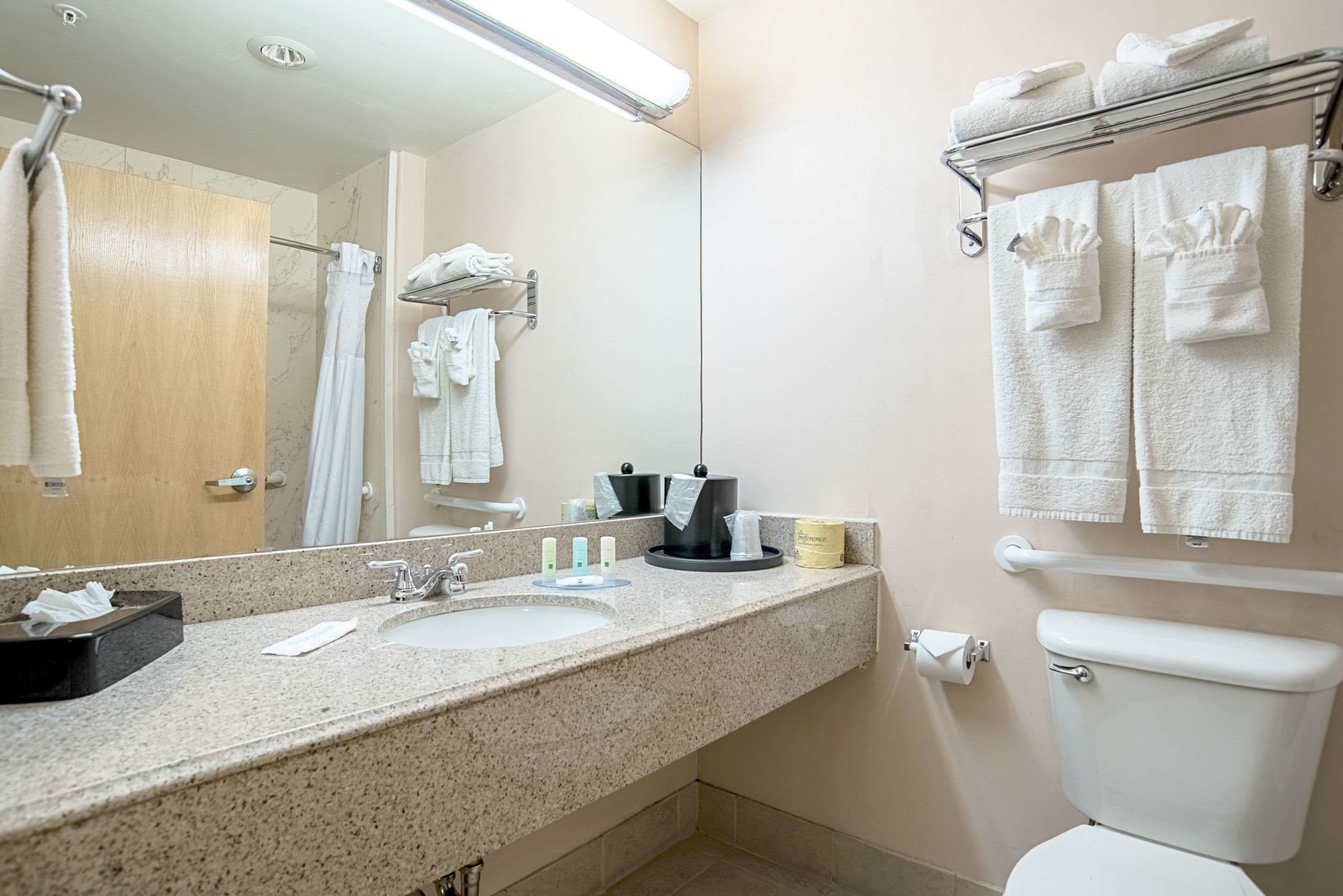 A bathroom with a granite countertop, two sinks, a mirror, a towel rack, a toilet, and a shower area.