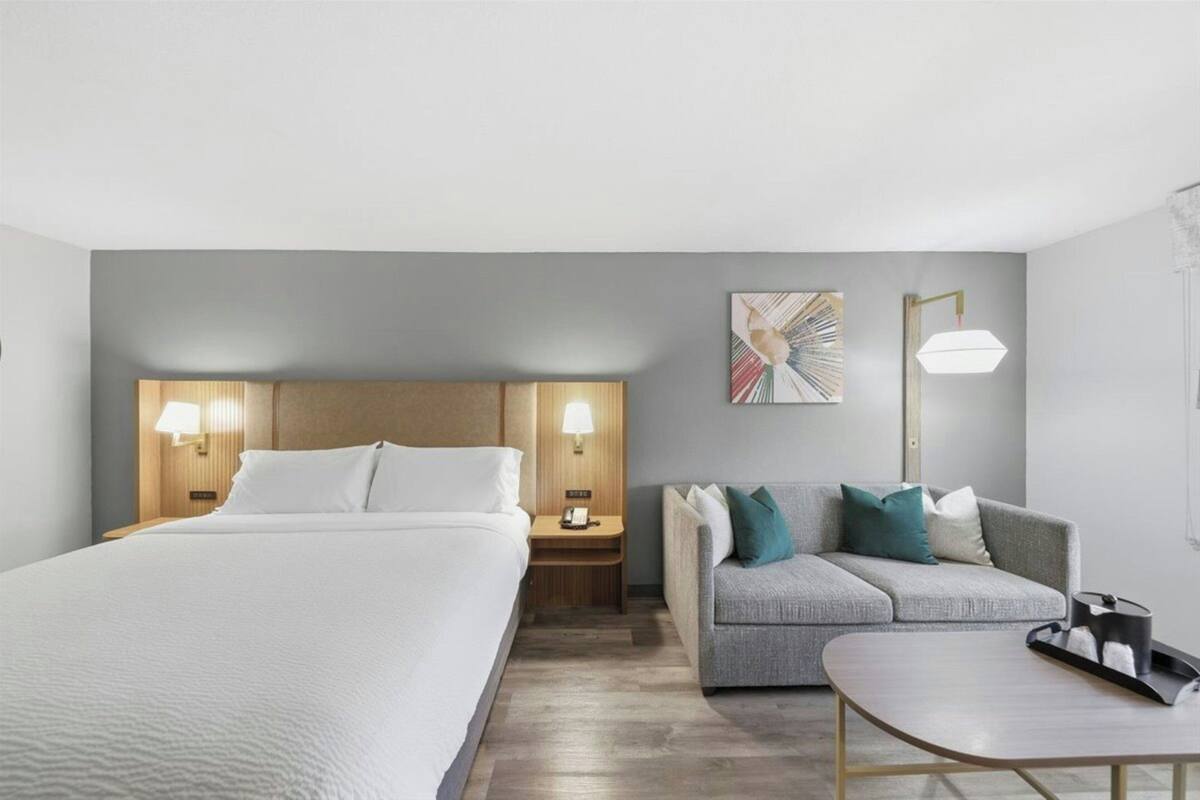 Quarto standard, 1 cama King | Roupas de cama premium, cofres nos quartos, escrivaninha