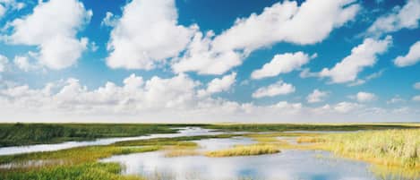 A flat landscape with water and grass under a clear sky.