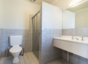 Family Room | Bathroom | Shower, free toiletries, hair dryer, towels