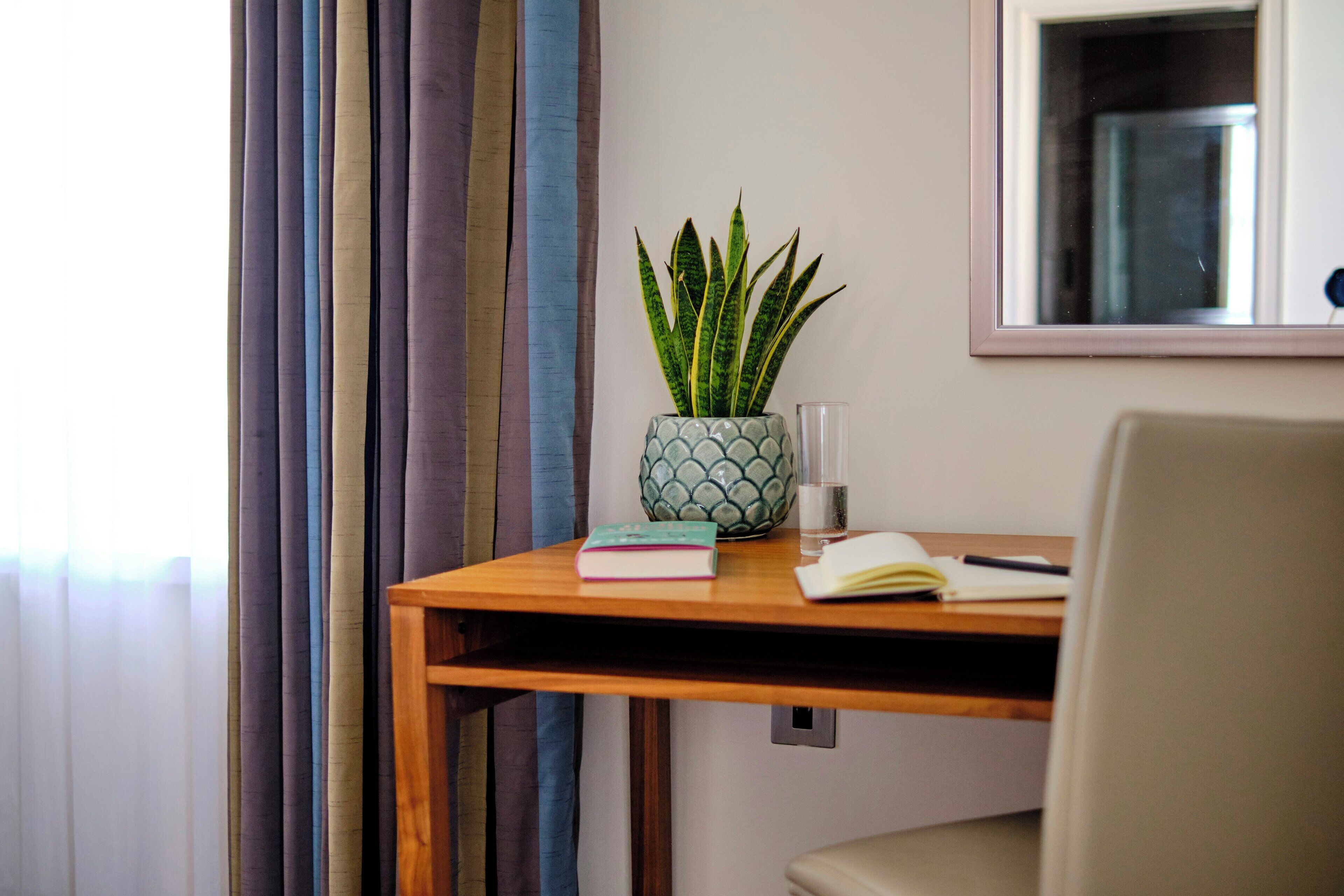 A wooden desk with a potted plant, a book, and a glass of water.