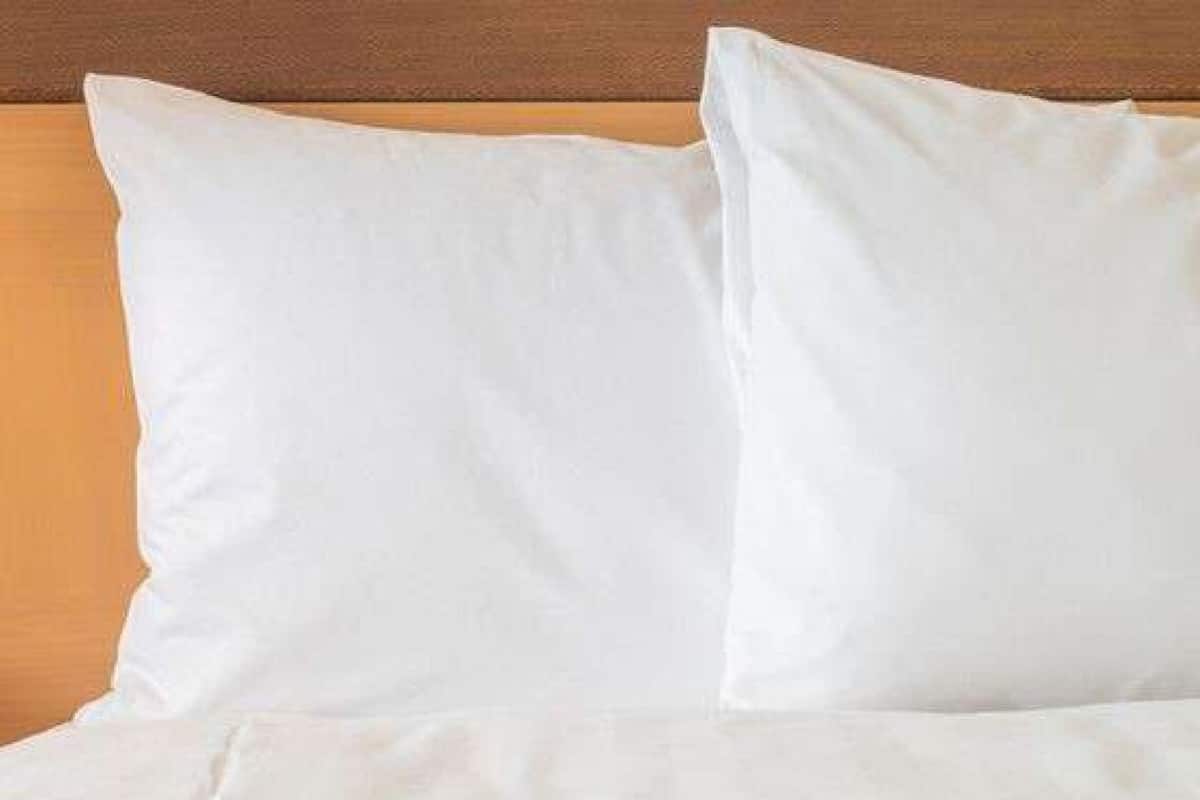 Chambre Standard | Surmatelas, bureau, rideaux occultants, fer et planche à repasser