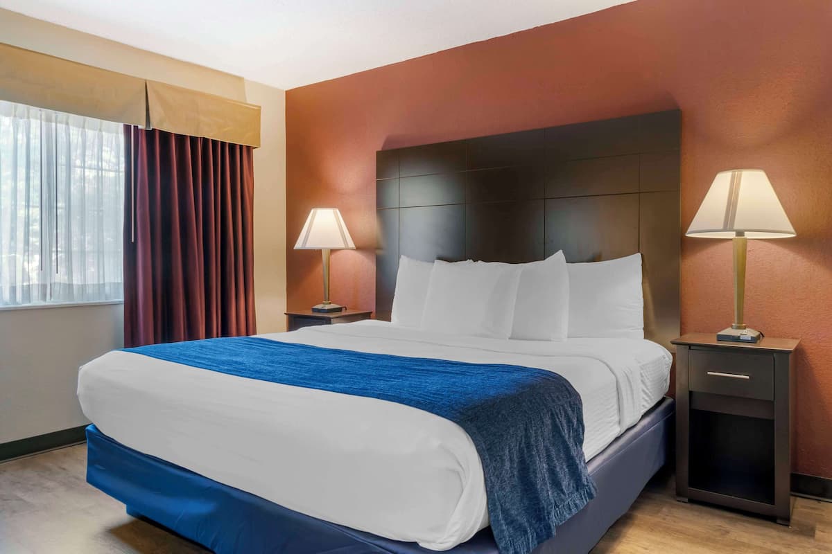 Suite, 1 King Bed, Non Smoking, Refrigerator & Microwave | In-room safe, desk, laptop workspace, blackout drapes