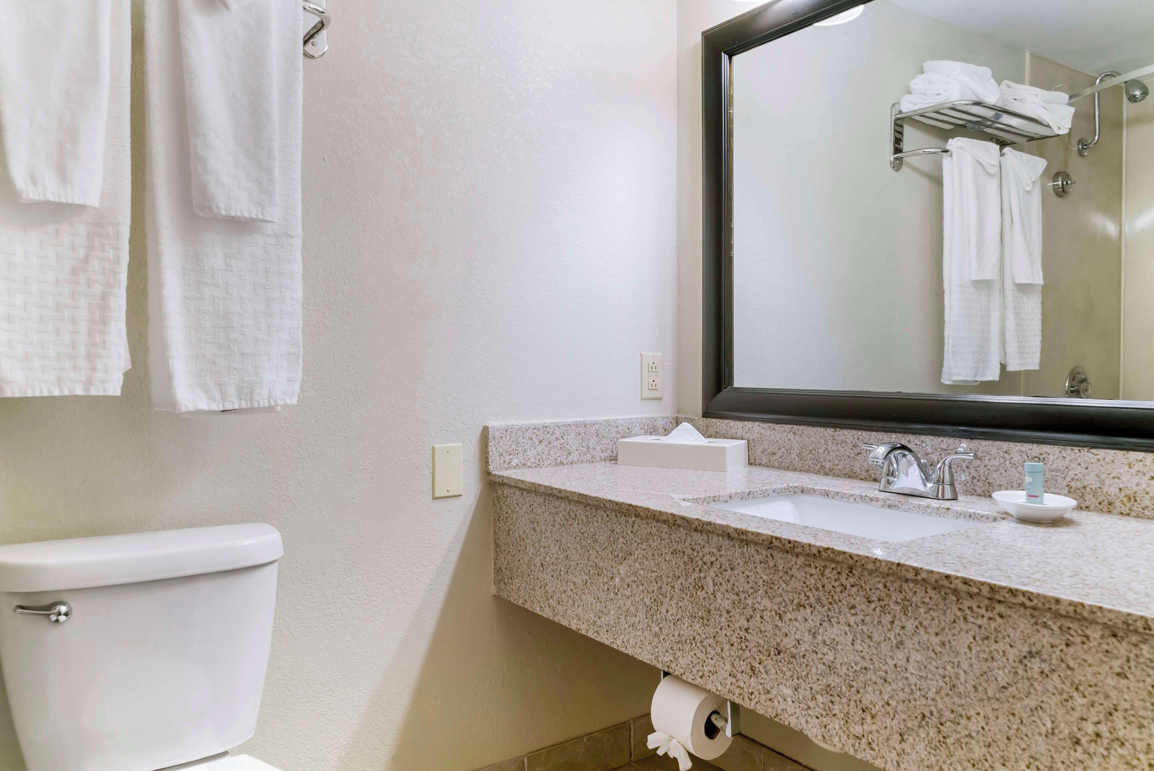 Een badkamer met toilet, wastafel en spiegel.