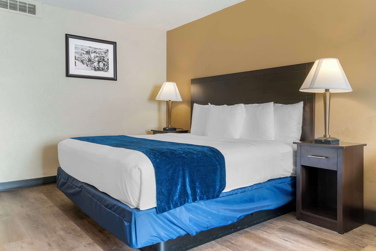 Standard Room, 1 King Bed, Non Smoking, Refrigerator & Microwave (with Sofabed) | In-room safe, desk, laptop workspace, blackout drapes