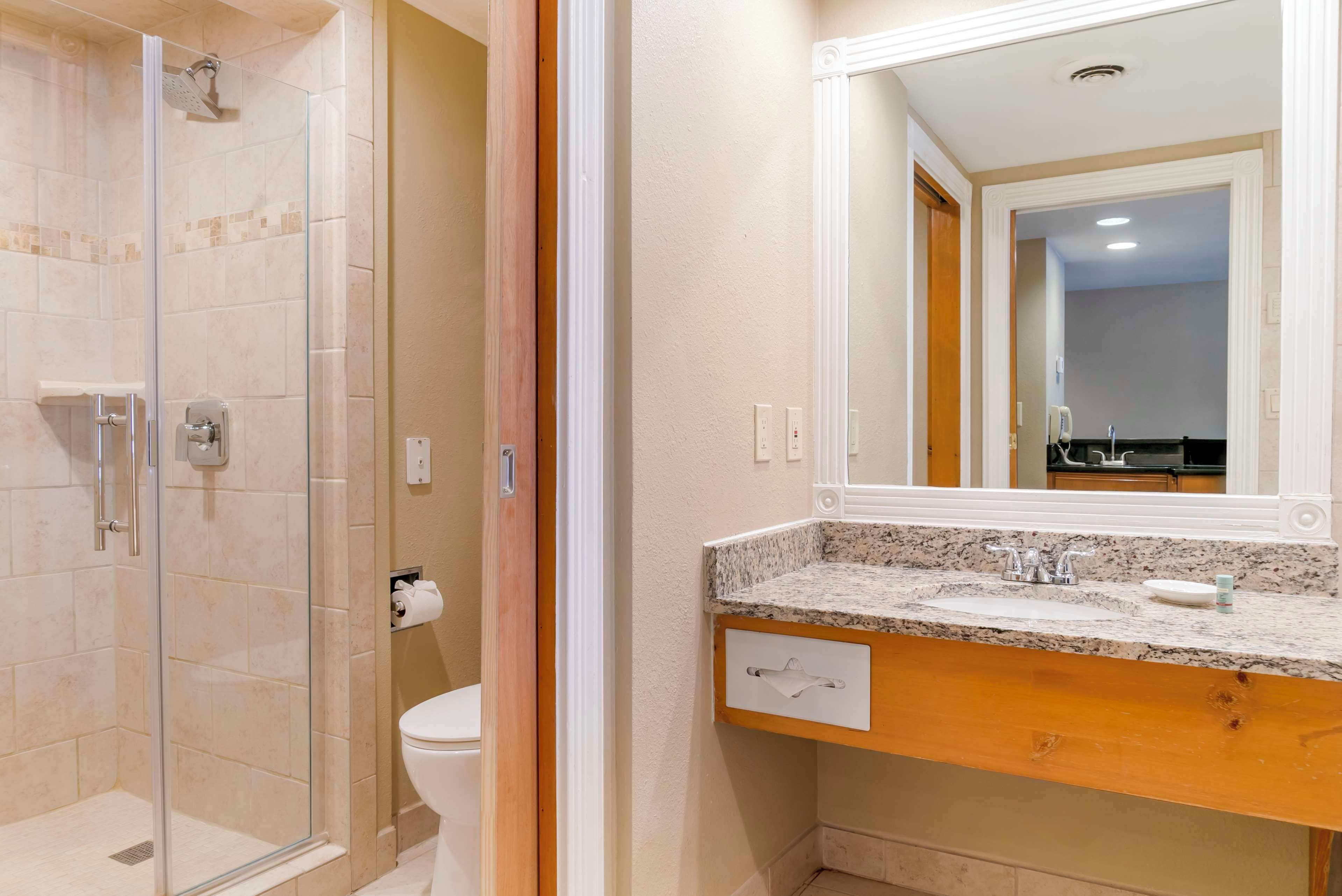 A bathroom with a glass-enclosed shower, a toilet, and a vanity with a mirror.