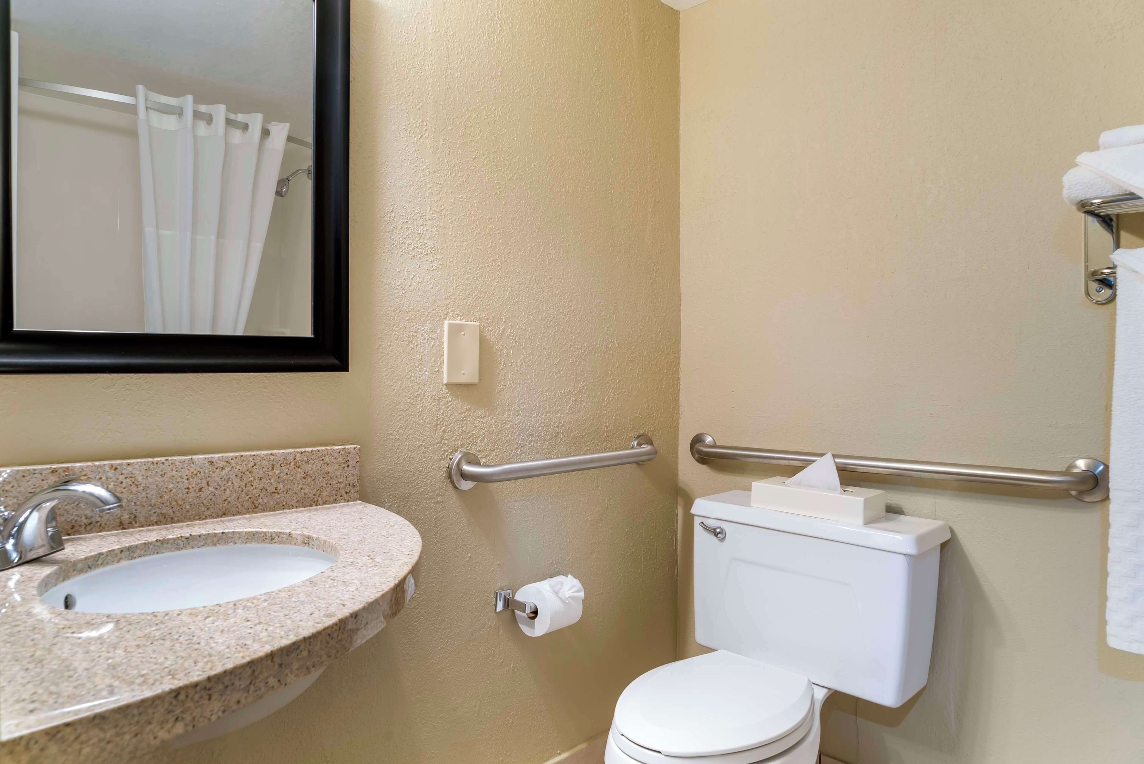 A bathroom with a sink, toilet, and a mirror.