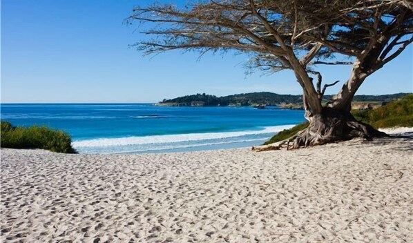 Playa en los alrededores 