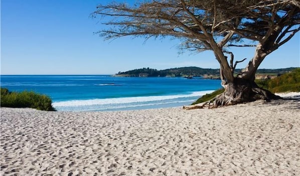 Plage à proximité