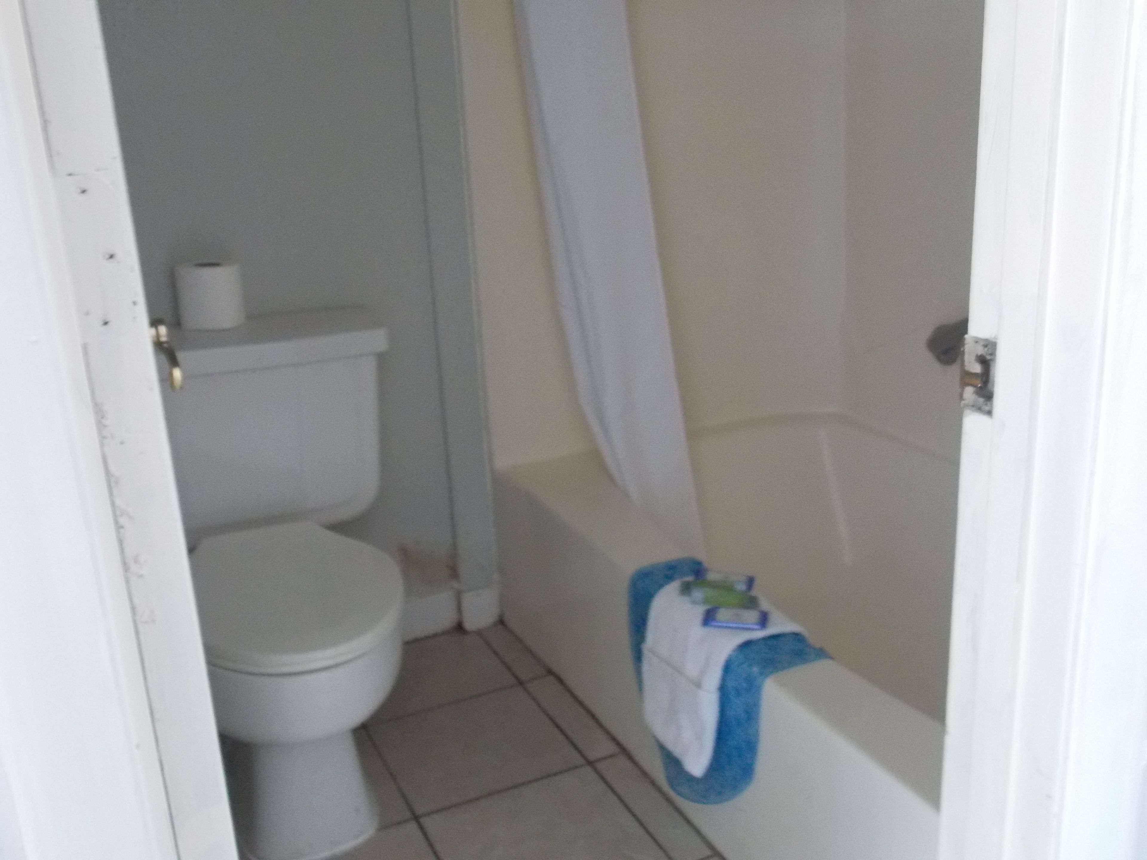 Une petite salle de bain avec des toilettes, une baignoire et un rideau de douche.