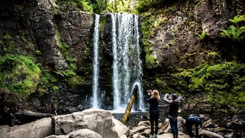 A waterfall surrounded by rocks and greenery.