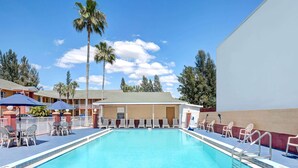 A swimming pool with lounge chairs and umbrellas, surrounded by palm trees and a building with a flat roof.