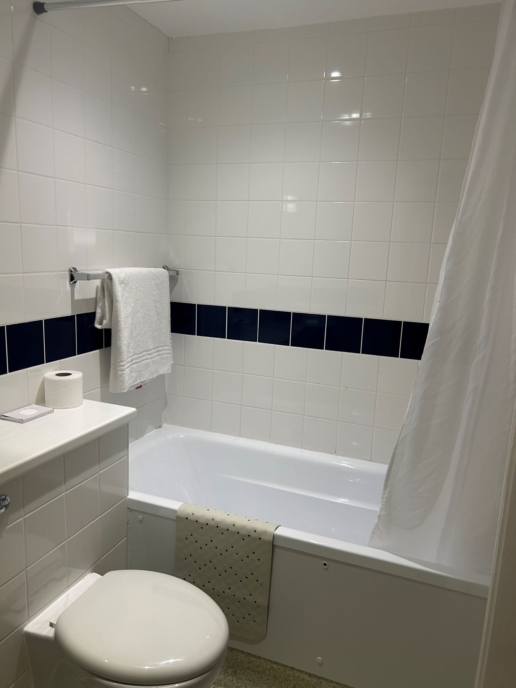 A bathroom with a white toilet, a bathtub with a shower curtain, and a towel rack.