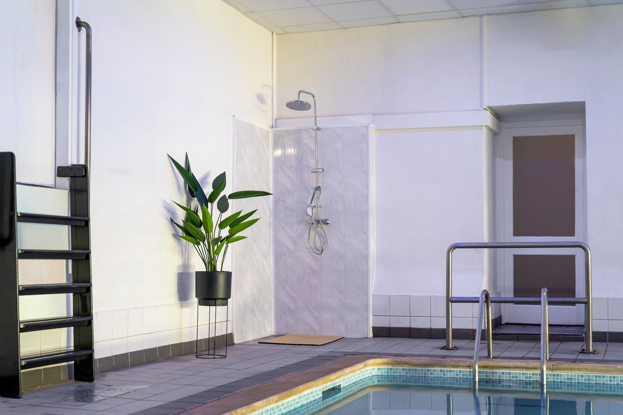 A modern indoor pool area with a shower, a potted plant, and a metal ladder.