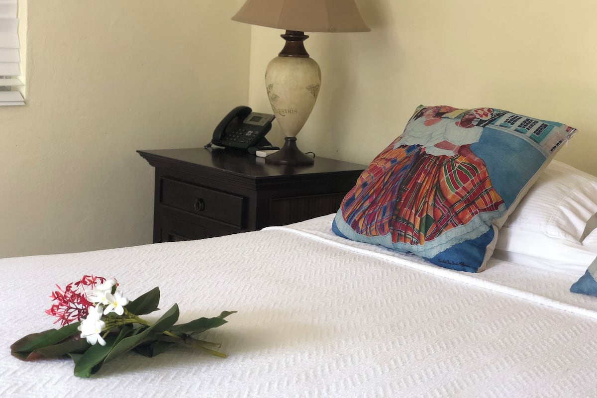 Individually decorated, individually furnished, iron/ironing board