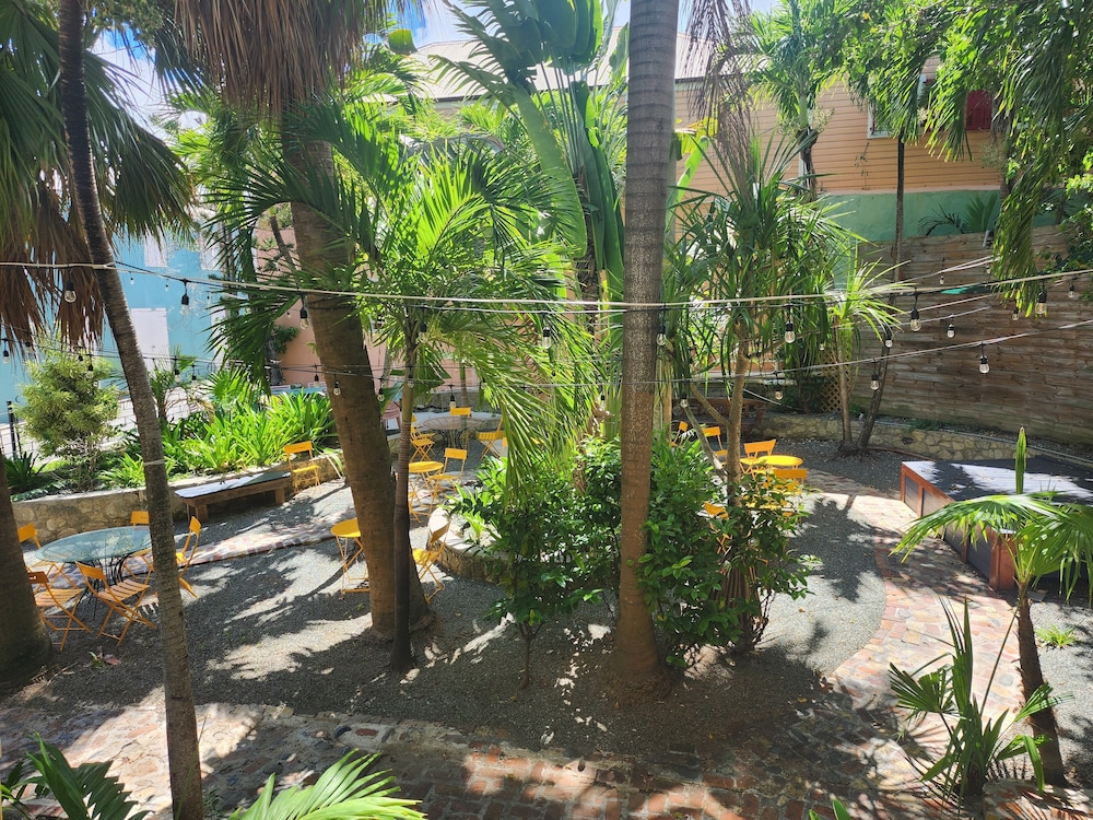 The Comanche by null