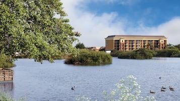 Een hotel met een modern design, gelegen aan het water, waar eenden zwemmen.