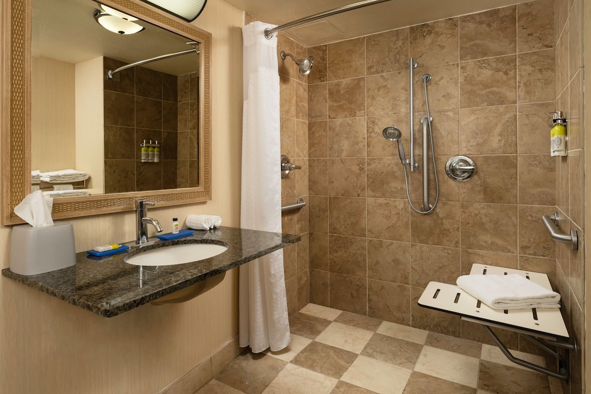 standard room, 1 double bed, accessible (mobility, roll-in shower) | 1 bedroom, in-room safe, desk, iron/ironing board