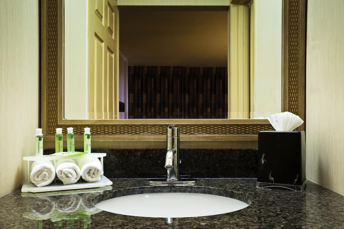 combined shower/bathtub, free toiletries, hair dryer, towels