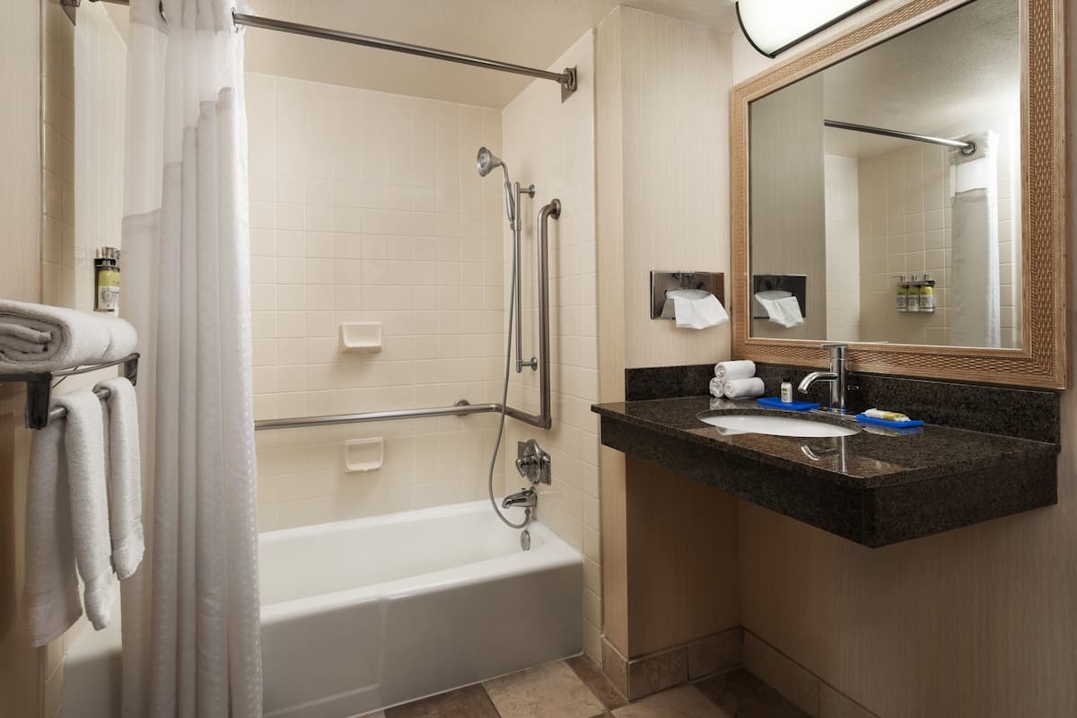 combined shower/bathtub, free toiletries, hair dryer, towels