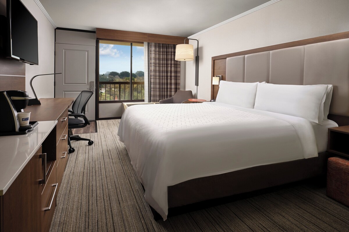 A hotel room with a large bed, a desk with a computer, a chair, a TV mounted on the wall, and a window with a view of trees.