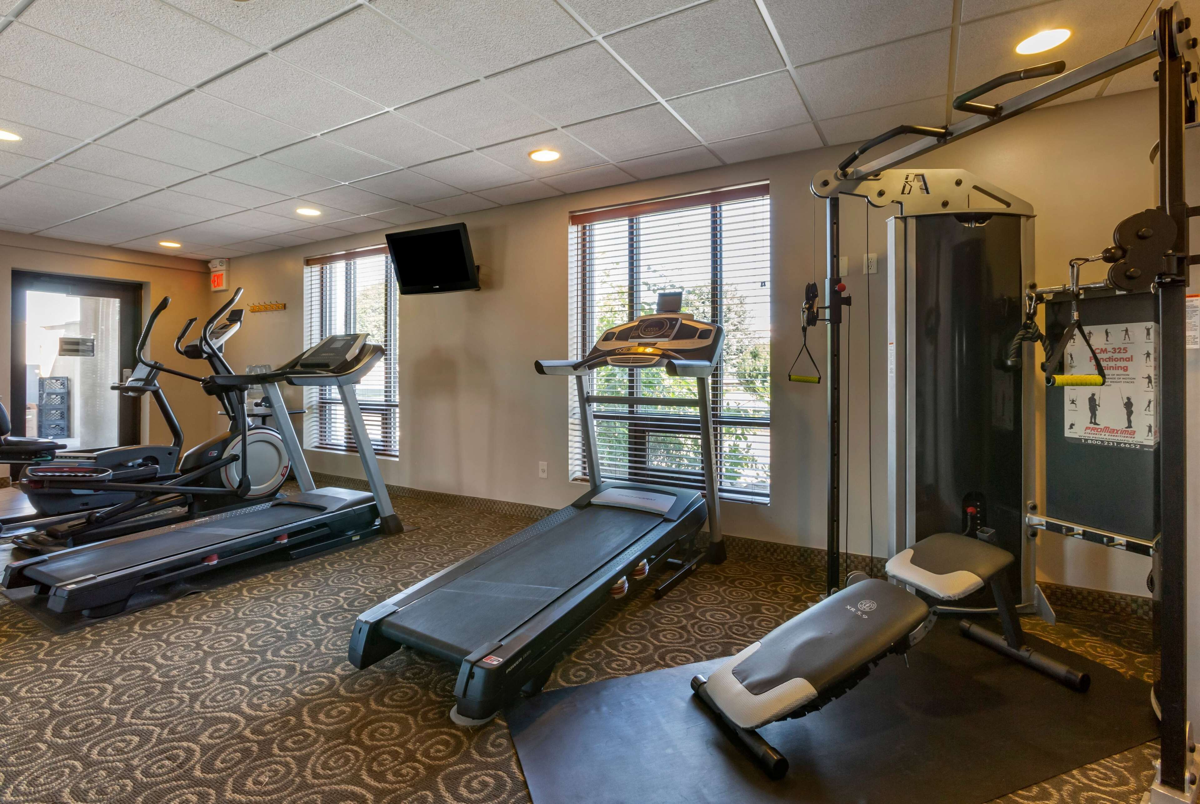 A gym with treadmills, a stationary bike, a weight bench, and a squat rack.